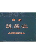 逍遥津封面