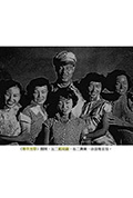 《军中芳草》封面