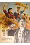 《鸡毛飞上天》封面