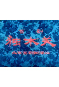 《独木关》封面