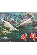 对虾封面
