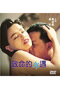 《致命的外遇》封面