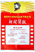 特大喜讯——毛主席和林副主席接见四万多革命战士封面