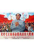 欢呼毛主席革命路线的伟大胜利——庆祝一九六七年“五一”国际劳动节封面