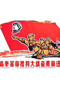 高举革命批判大旗奋勇前进封面