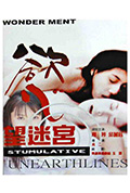 《欲望迷宫》封面
