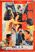 《与狼共爱》封面