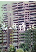 为她情狂封面