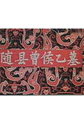 随县曾侯乙墓封面