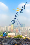 小虫虫大冒险封面
