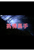挑情高手封面