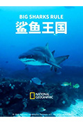 鲨鱼王国封面