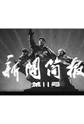 《新闻简报1977年第11号》封面