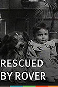 义犬救主封面