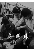 夜明珠封面