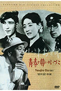 青春之梦今何在封面
