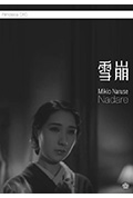 雪崩封面