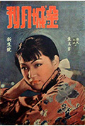 情天血泪封面