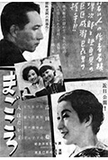《真心》封面