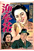 《迎春花》封面