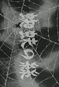 《蜘蛛之丝》封面