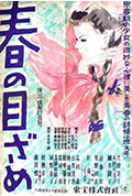 春的觉醒封面