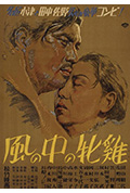 风中的母鸡封面