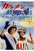 卡门归乡封面