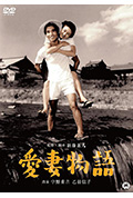 爱妻物语封面