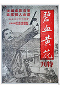碧血黄花封面