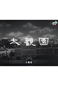 《大观园》封面
