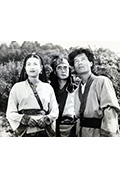 《梦》封面