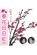 《春花日日红》封面