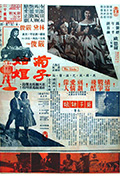 《菊子姑娘》封面