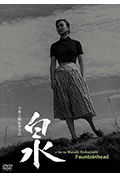 泉封面