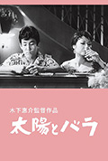 《太阳和玫瑰》封面