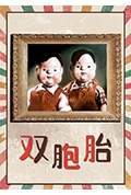 《双胞胎》封面