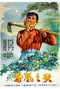 《凤凰之歌》封面