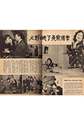《野火》封面