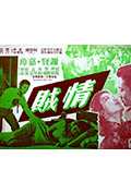 情贼封面