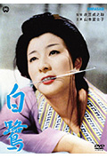 白鹭封面