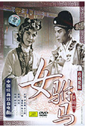 女驸马封面