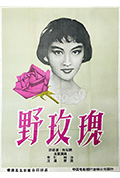 《野玫瑰》封面