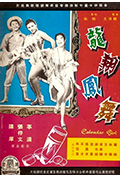 龙翔凤舞封面