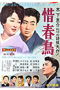 惜春鸟封面
