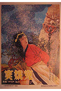 《窦娥冤》封面