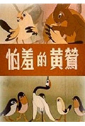 怕羞的黄莺封面