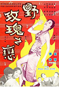《野玫瑰之恋》封面