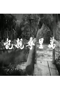 《万里寻亲记》封面