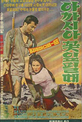 《洋槐花瓣烂漫时》封面